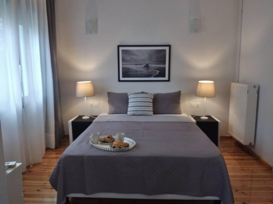 D4 Central Luxury Apartment Volos Exteriör bild